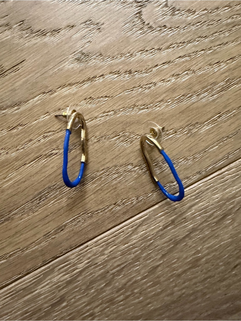 Mignonne Gavigan Blue and Gold Hoop Earrings